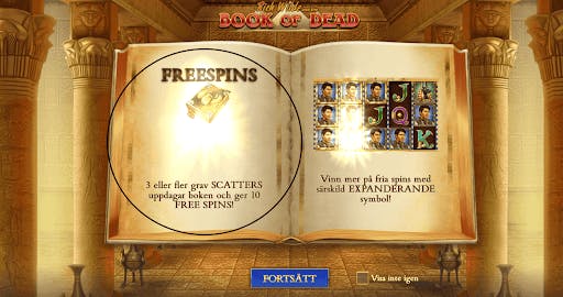 Free spins i spelet Book of Dead