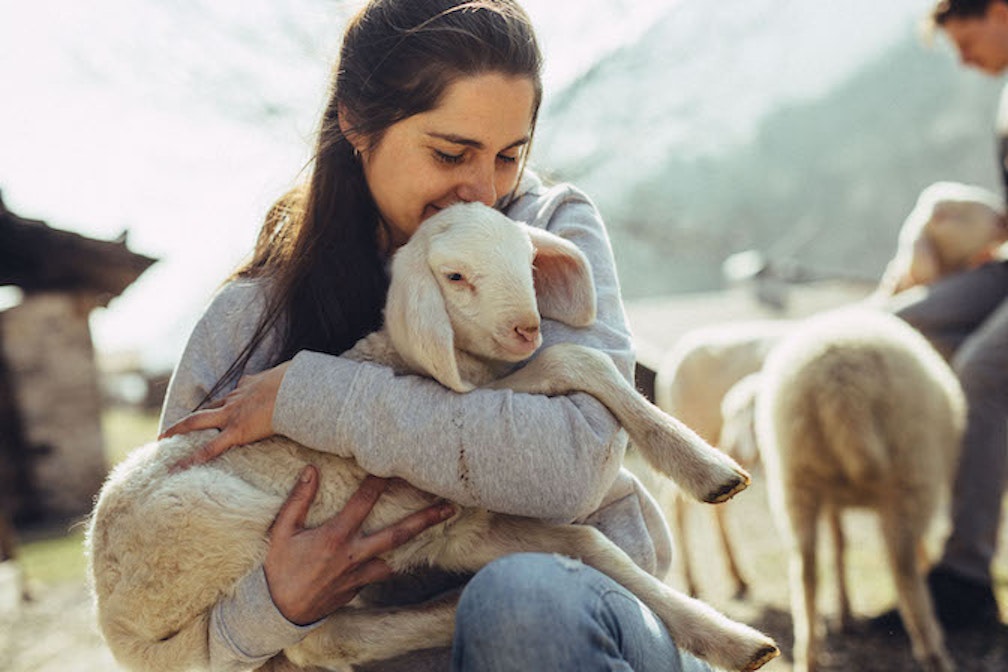 spinnradl_1 (c) benjamin_pfitscher