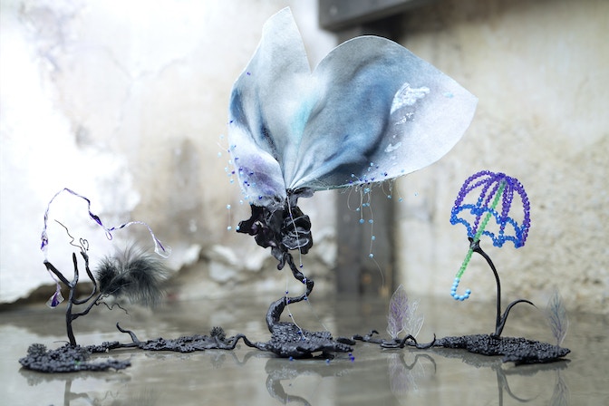 8_ Untitled (WAP)_Sophia_Mairer