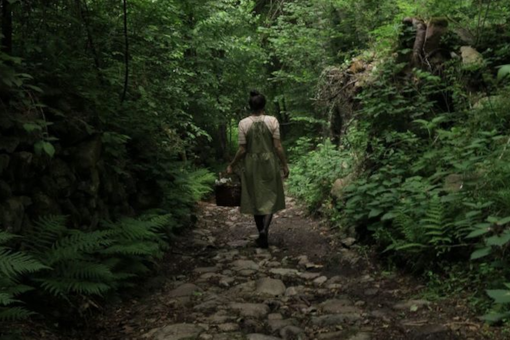 Cronache dall’orto: il progetto di Giorgia Pallaoro e Beatrice Eccel