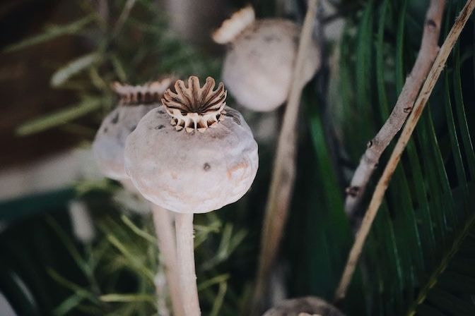 image00004