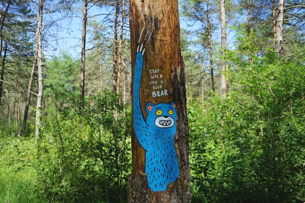 Ledro Land Art: l’anima dei luoghi o del mio viaggio nella natura artistica