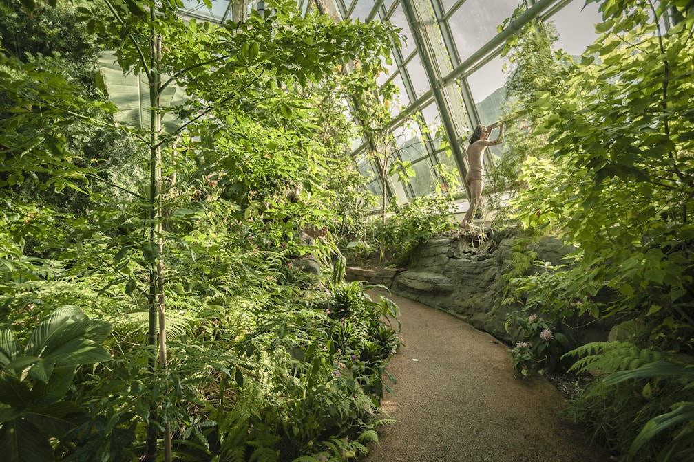 L’antropocene e le sue sfide  tra arte contemporanea e conoscenza  per i 10 anni del MUSE