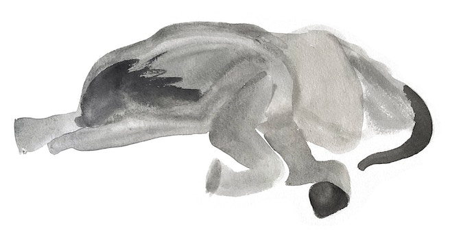 Futurefarmers_Elephant_watercolor_2023
