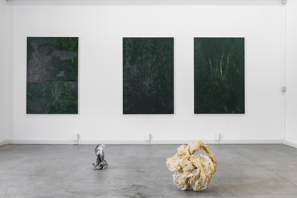 Se il paesaggio è simbolico: Il progetto espositivo di Linda Carrara a Trento