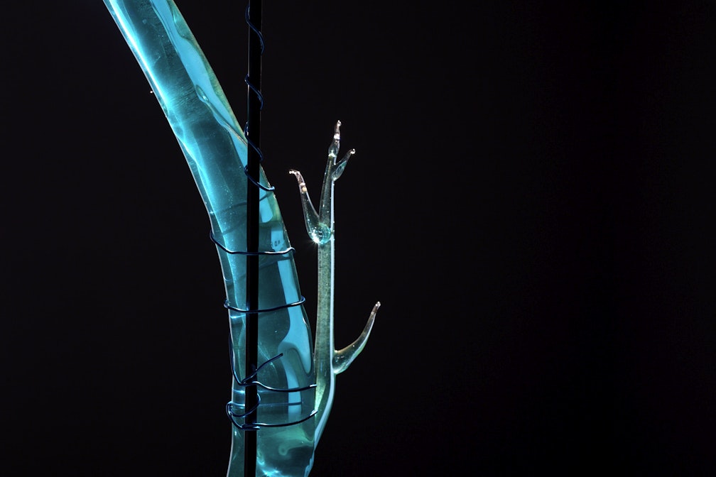 Christian Fogarolli alla Civica di Trento Normalità e devianza, dove sta il confine?