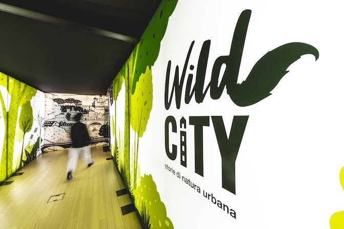wild-city-purin-2_52790095979_o