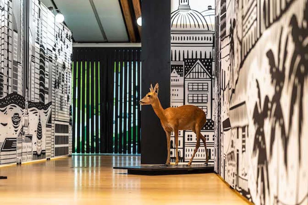 Wild City:  Storie di natura urbana al MUSE di Trento