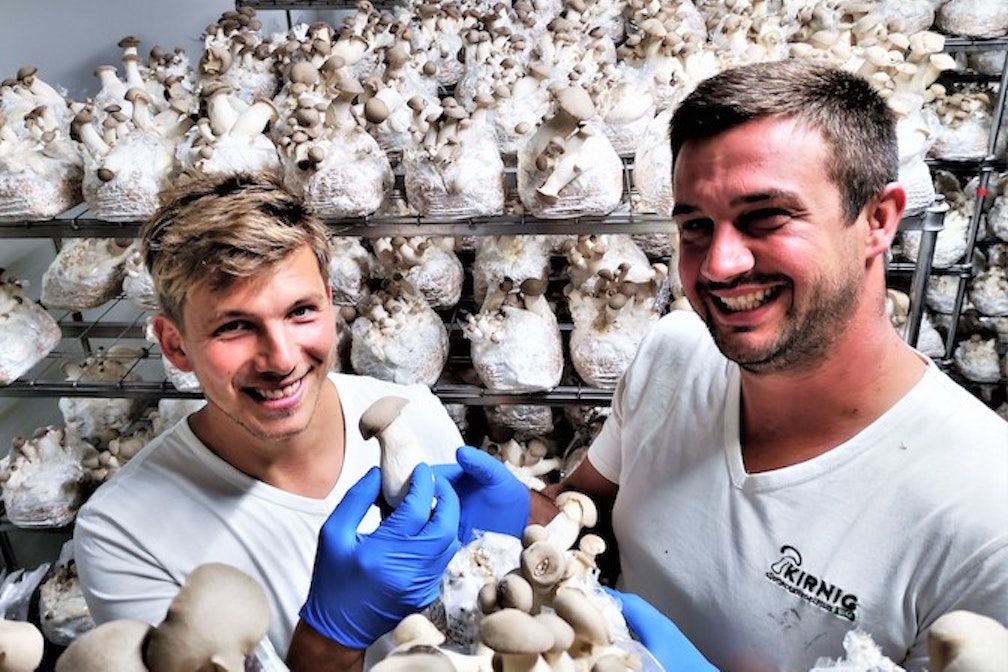 Neues aus dem Fungi-Kosmos: Kirnig