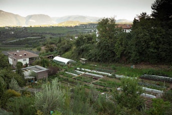 Hof des Wandels Bild 2_Meike Hollnaicher