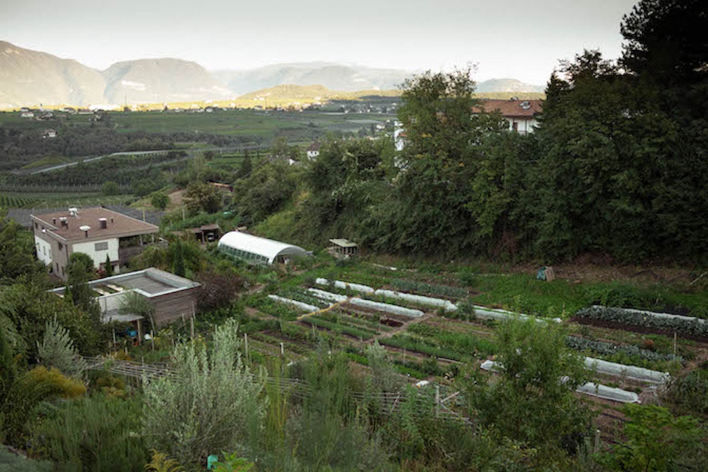 Hof des Wandels Bild 2_Meike Hollnaicher