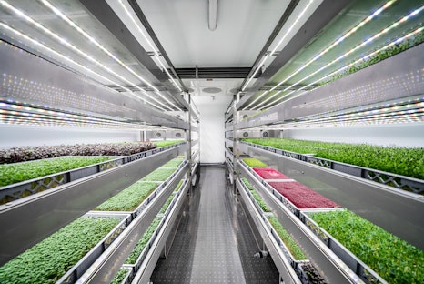 Profarms Bild_5 (c) Profarms Profarms Bild_5 (c) Profarms