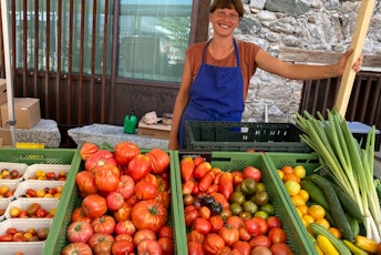 06_GreiterHausMarktGarten_Markt_2 © Greiterhaus