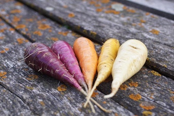 Socker_4 © Andreas Folie