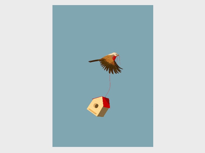 illustrazioni-03