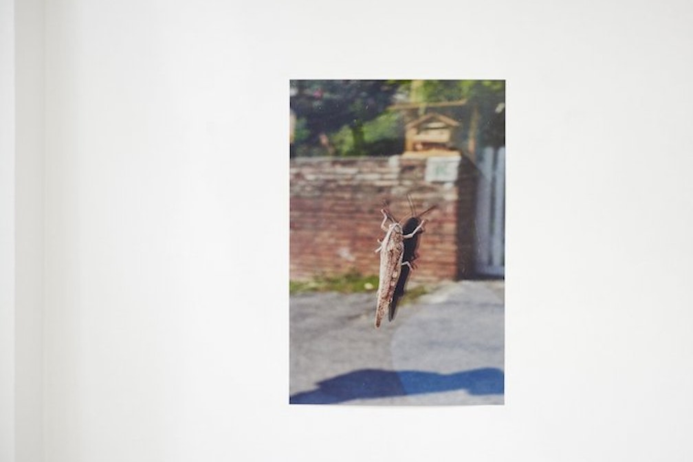 Denis Laner I Want to Show You Something InstallationShots_006