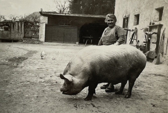 Grossmutter Rosa Thuile mit Rekordsau_@Foto Archiv Paul Thuile_Pauls-Wurstfibel_Raetia