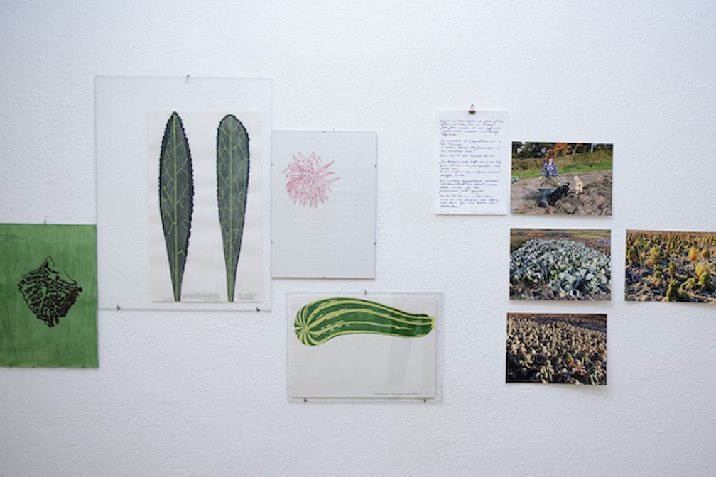 Der Garten dahinter: incontrarsi nei giardini di Bressanone. La mostra di Carmen Müller