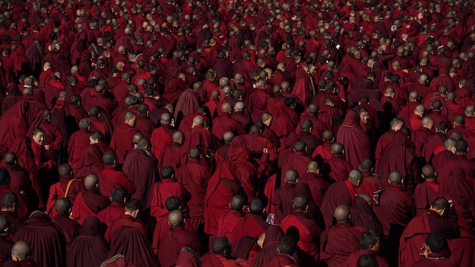 DARK RED FOREST_70 TFF_Concorso