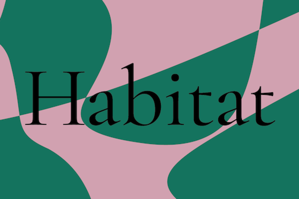 Fondazione Antonio Dalle Nogare + franzLAB presentano HABITAT – Reflections on ways of inhabiting museum spaces