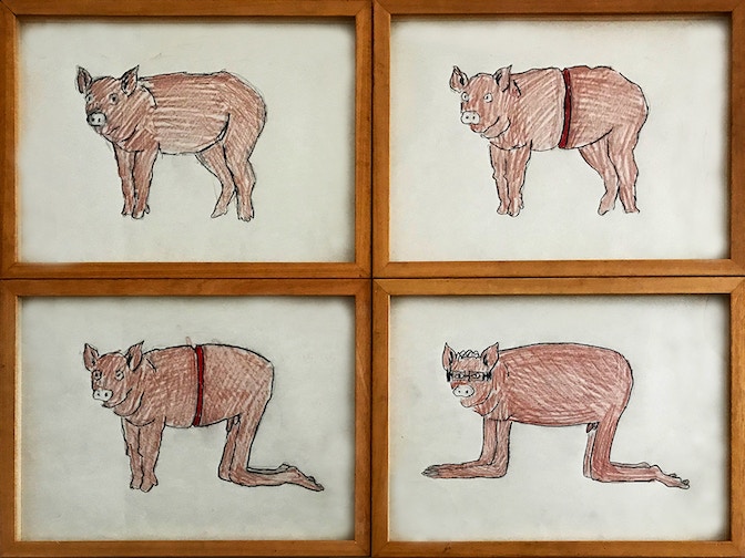 baw_niccoli_selbstportrait_schwein