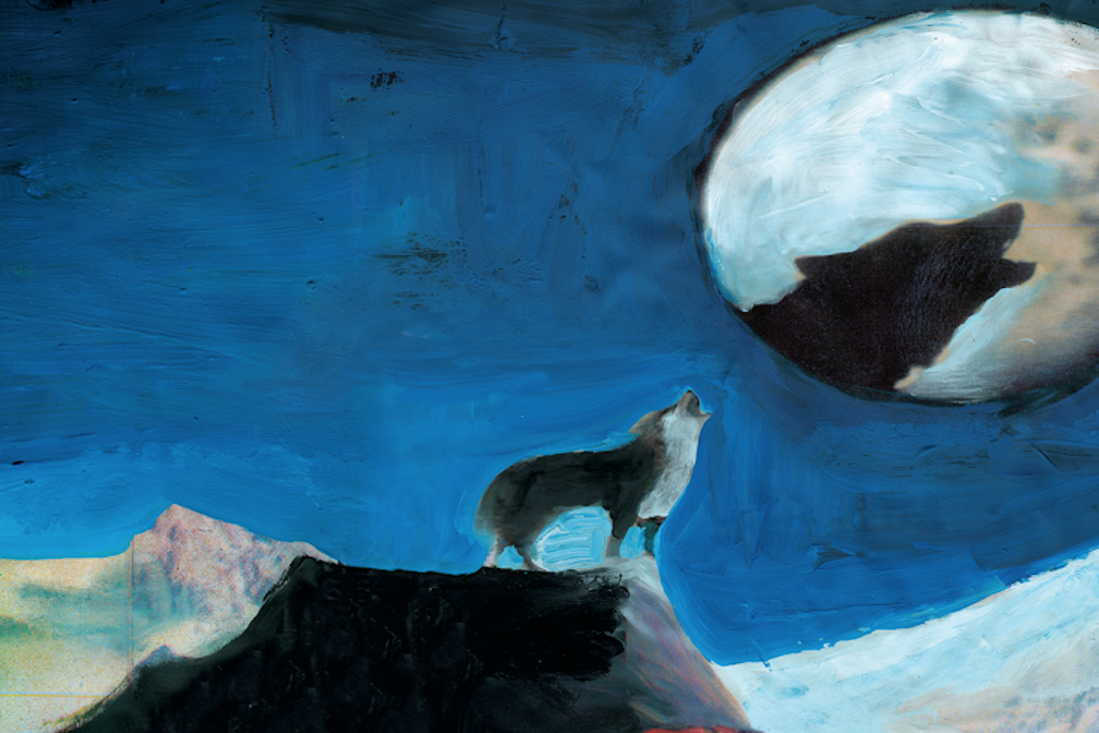 Una montagna di eventi Il Trento Film Festival arriva a Bolzano