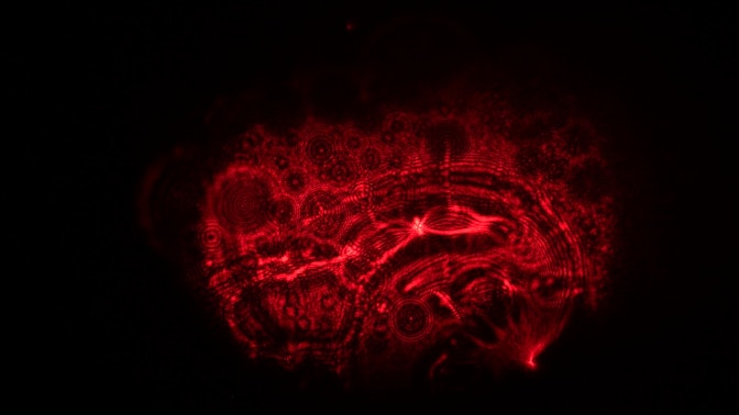 Saccharomyces cerevisiae (c) Maria Capello