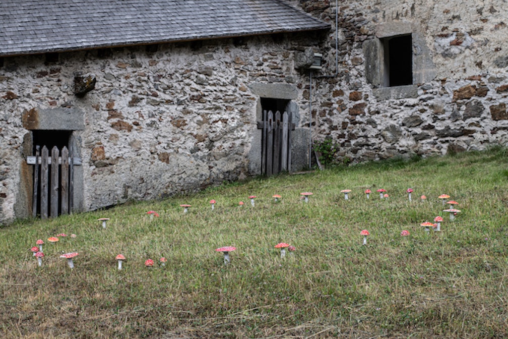 IreneHopfgartner_FotoDanielaBrugger