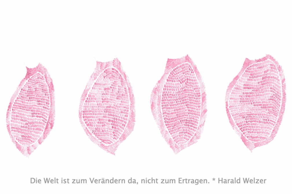 Gabriela Oberkofler Schweinsohren + Harald Welzer x Susanne Barta