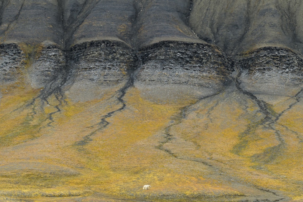 Stefano Unterthiner: Eine Nahaufnahme