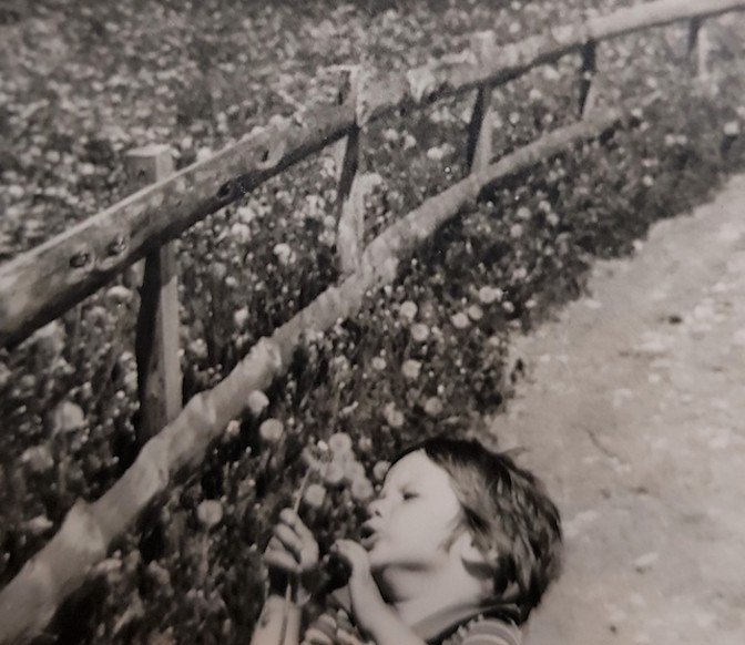 Blowing flowers