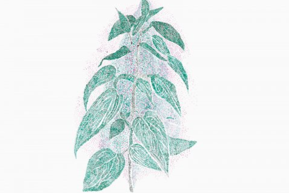 Gabriela Oberkofler + Harald Welzer x Peter Zumthor