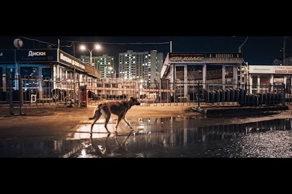 Ein Märchen für Erwachsene: „Space Dogs“ beim BFFB 2021