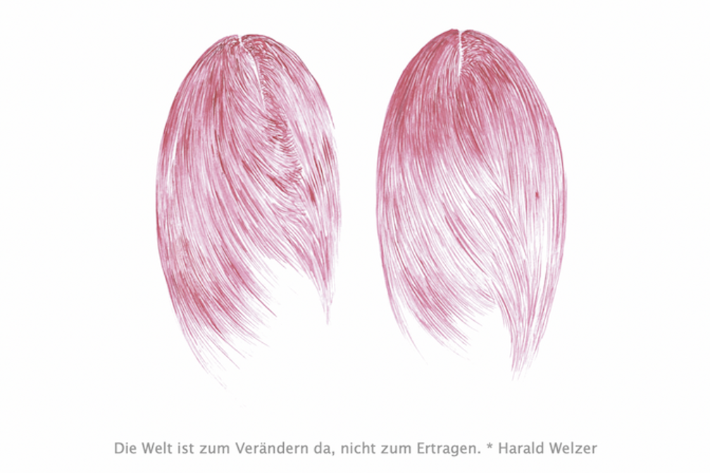 Gabriela Oberkofler Haare wie Koepfe + Harald Welzer