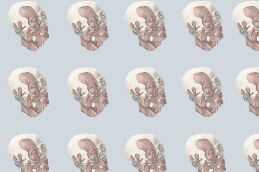 Ritorno ai tempi di Leonardo: Barbara Fischer e il tutt’uno tra scienza e creatività