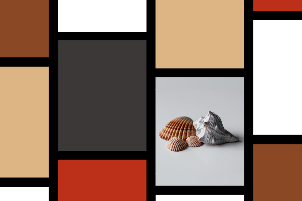 Corpo a corpo con la poesia #03: conchiglia