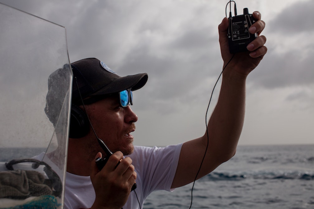 Der Mann fürs Grobe: Michele Melani