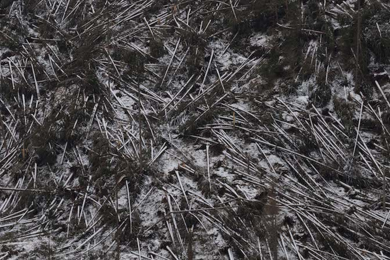 © Roberta Segata segata_we_are_here