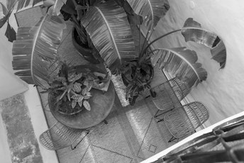 Livre d’Or 03. Goldenstern