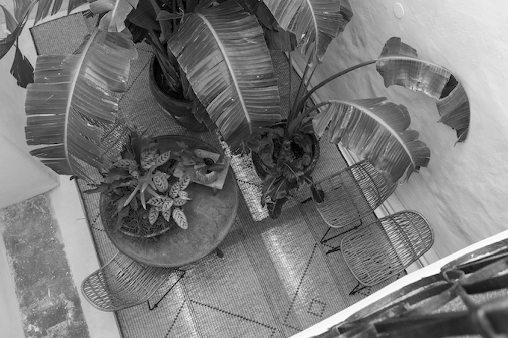 Livre d’Or 03. Goldenstern