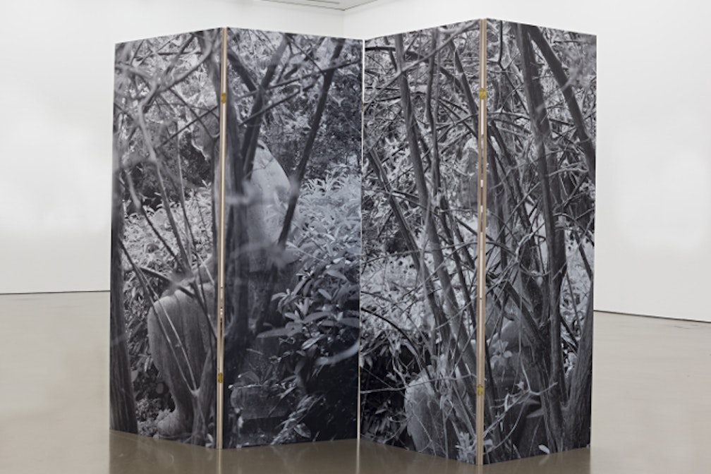 Özlem Altin e Alterazioni Video  per Kunst Merano Arte