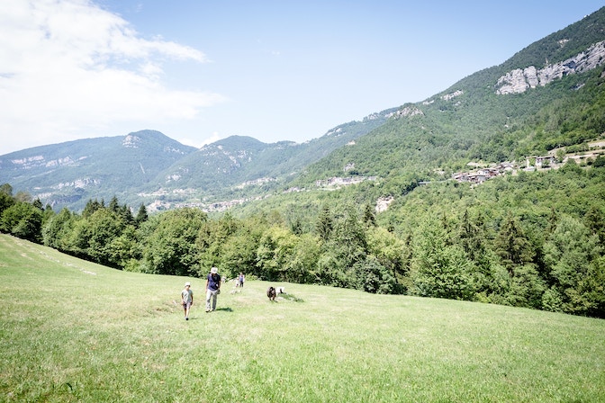 Il Masetto 3