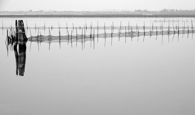 Laguna di La Barena, Jesolo_p124_© Erich Hörtnagl