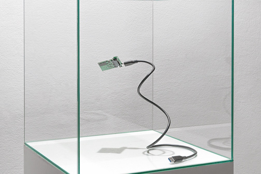 sp_equivocation_brain_simon-perathoner