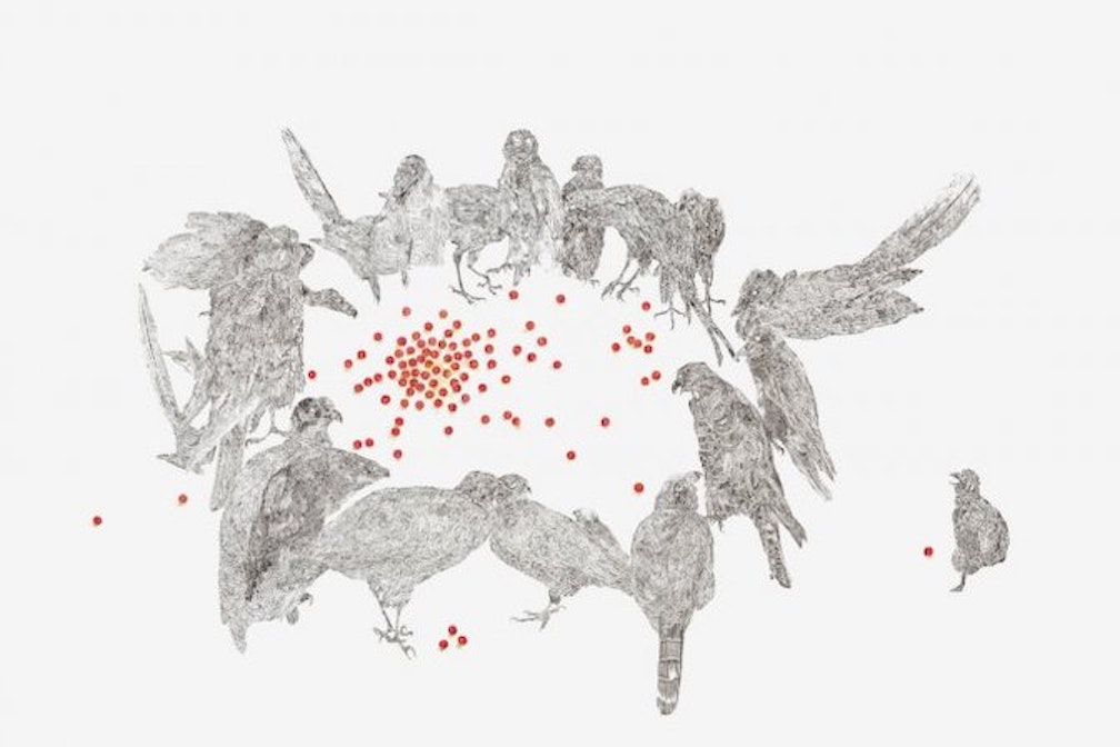 Gabriela_Oberkofler_vögel