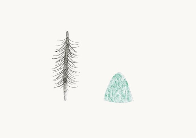 Gabriela_Oberkofler_nadel_Baum