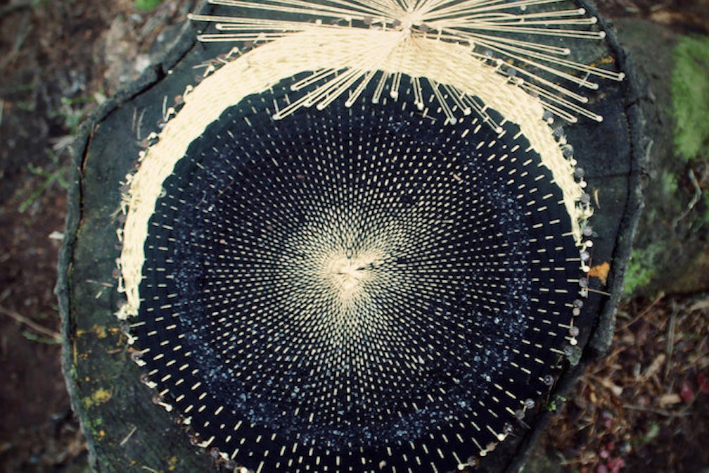 Karolina Daria Flora_eclipse