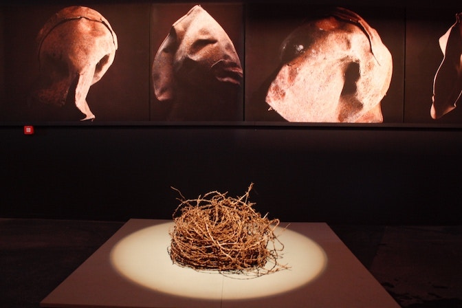 Le Gallerie TN 6 - ph. Francesca Fattinger