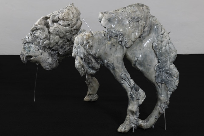 Chiara Cenci Kunst Merano Arte