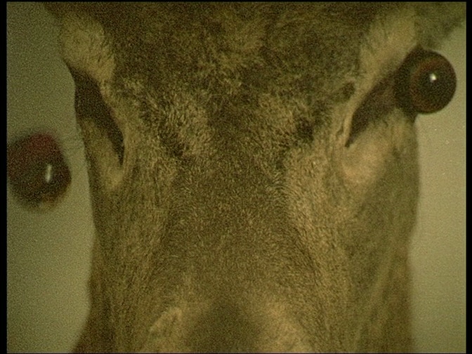 Carmen Tartarotti Filmstill Kribus-Krabus-Domine 09